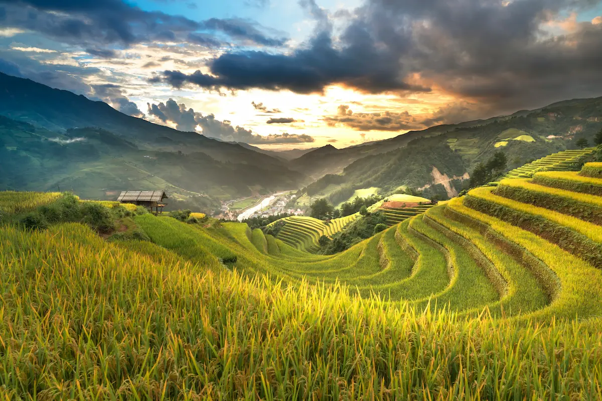 Best eSIM for Vietnam 2026 in Sapa rice terraces landscape