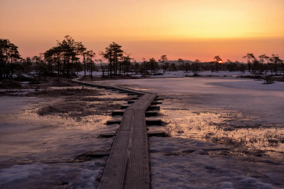 Estonia rural bog at sunset — where eSIM signal starts to drop wooden boardwalk through frozen bog at sunset in Estonia Lahemaa national park showing remote nature and limited signal areas