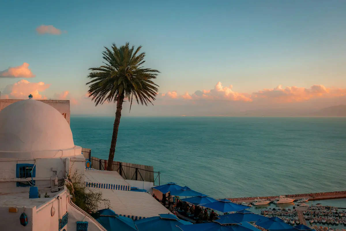 Sidi Bou Said Tunisia sunset view with palm tree and Mediterranean sea