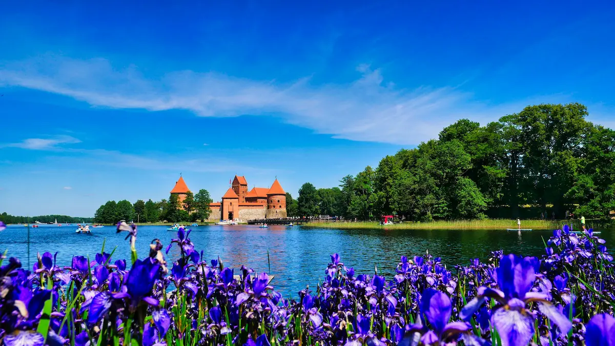 Trakai Island Castle in Lithuania surrounded by lake with flowers and clear blue sky