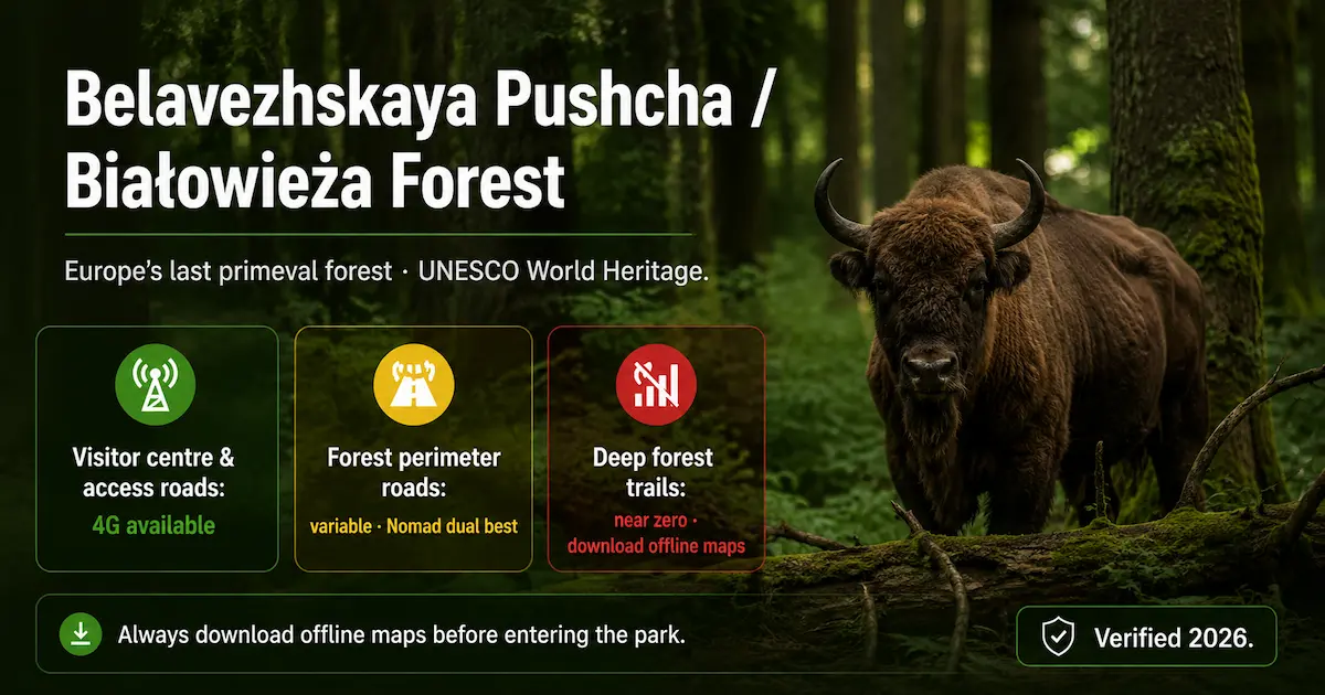 belavezhskaya pushcha bialowieza forest belarus esim coverage rural signal offline maps nomad dual network