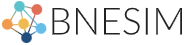 BNESIM official logo
